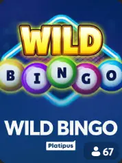 Wild Bingo BC Game Vancouver game cover