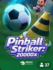 Pinball Striker 20000x BC Game Vancouver game cover